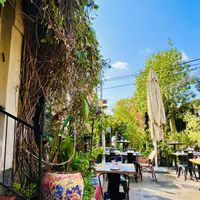 Outside seating   at Meshek Barzilay in Tel Aviv