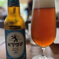 שפירא ipa  at Meshek Barzilay in Tel Aviv
