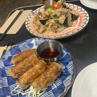Salt and pepper eggplant and spring rolls at UR Pho in Cronulla