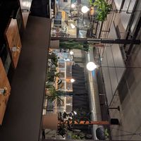  at Feral in Portland