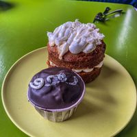   at Coronats in Valencia