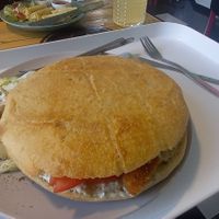  at YES rebel bites in Osijek