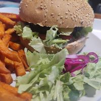  at YES rebel bites in Osijek