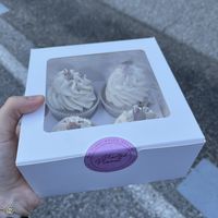   at Planted Planet in Melide