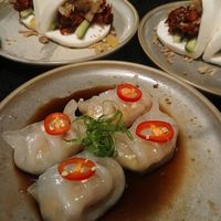 Vegetable dumplings at Ginger Meg's in Newcastle