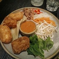 Tofu roll ups at Ginger Meg's in Newcastle