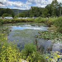   at Bashakill Vineyards in Wurtsboro