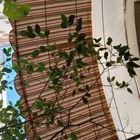 Ambiente at Café Tero Restaurante in Rio De Janeiro