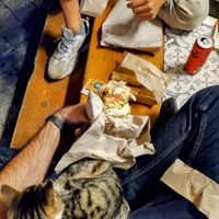 There are always feline dining companions available at Green Generation in Istanbul