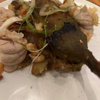  at Rasoterra in Barcelona