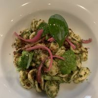   at Rasoterra in Barcelona