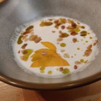  at Rasoterra in Barcelona