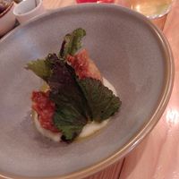 Jerusalem artichoke at Rasoterra in Barcelona