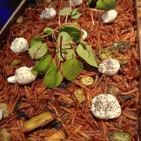 Fideua con allioli de higo at Rasoterra in Barcelona