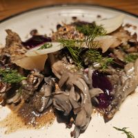  at Rasoterra in Barcelona