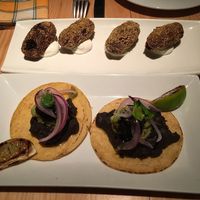 mexican tacos and spinach croquettes at Rasoterra in Barcelona
