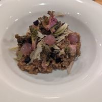  at Rasoterra in Barcelona