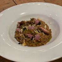  at Rasoterra in Barcelona