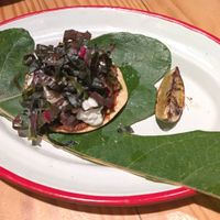  at Rasoterra in Barcelona