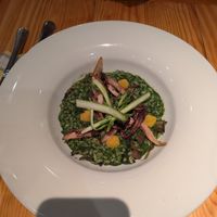  at Rasoterra in Barcelona