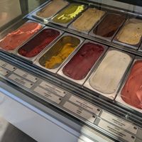 vegan options labelled at Rosa Canina in Frankfurt