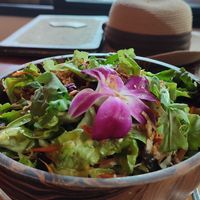  at Pure Vegan Heaven - Old Town in Chiang Mai