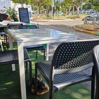 Outdoor sitting and cats. at Zayna Moroccan Taste in Casablanca