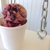 Chocolate Rasberry Icecream at Tremont Scoops in Cleveland
