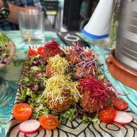   at Jungle Bistro in Ibiza