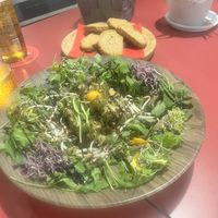   at Jungle Bistro in Ibiza