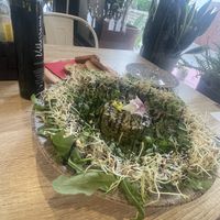   at Jungle Bistro in Ibiza