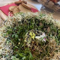   at Jungle Bistro in Ibiza