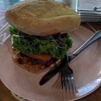 Jack'n'Box at The Fat Tui in Nelson