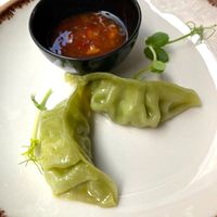 We loved their vegan dumpling appetizers! at Veganapati in Lisbon
