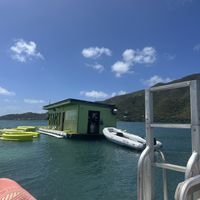 Restaurant  at Lime Out VI in St John