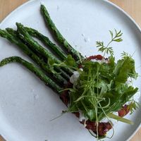  at St. Elsewhere in Ottawa