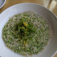 Risotto at St. Elsewhere in Ottawa