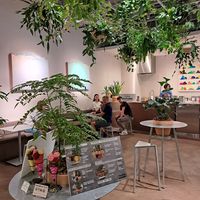  at (thisis)shizen in Kyoto