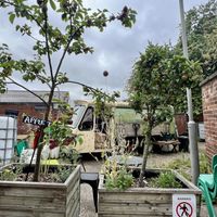 Part of the garden   at Squash Cafe & Shop in Liverpool