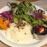 Salad & rice plate   at EVERYONEs CAFE in Tokyo