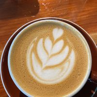 Oat milk latte😄 at Immortal Cafe & Supply in Sacramento