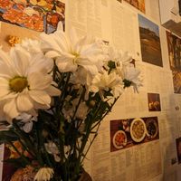 Interior at Augustino Artisan IL Caffe in Louth