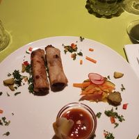 Loempia's at Veggies on Fire in The Hague