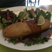 Jamaican roll at Veggies on Fire in The Hague