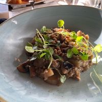 Mushroom Risotto at The Horse & Jockey in Bedford