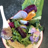   at Tokyo Vegan Ramen Center in Tokyo