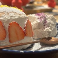   at Tokyo Vegan Ramen Center in Tokyo