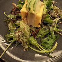   at Bar Avelo in Toronto