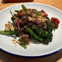 an outstanding salad  at Bluto's in Portland