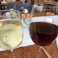 vegan regional red and white wine at Die Weinstube Nachhaltig Geniessen in Zeltingen